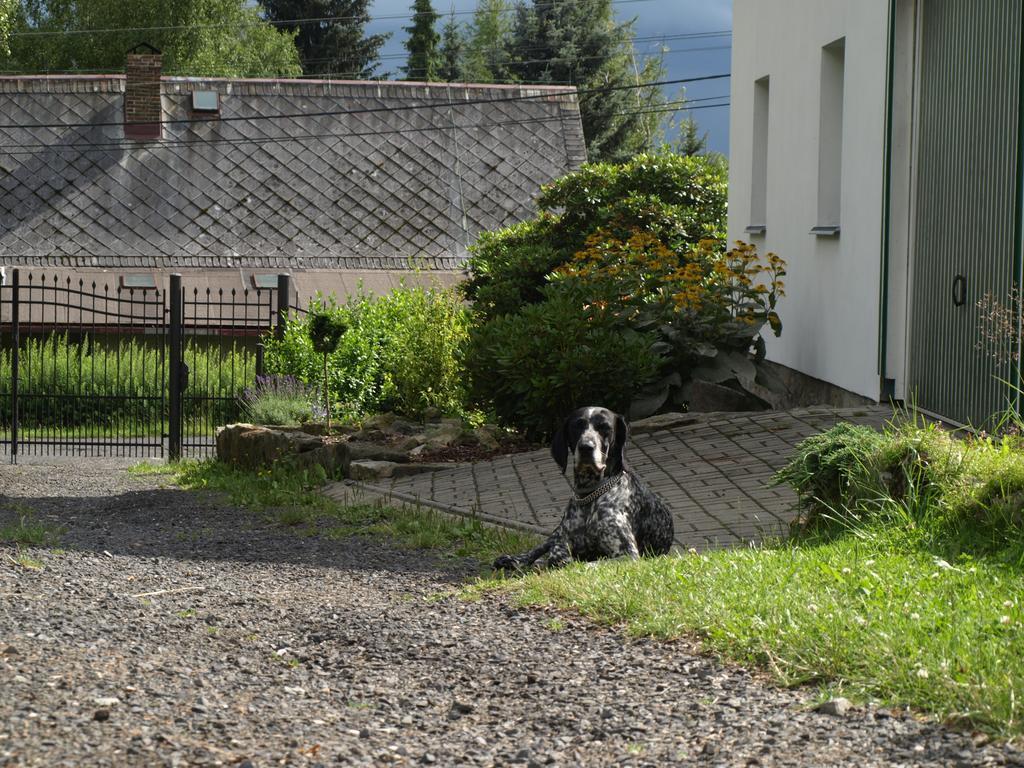 Guest House Luft Sneznik 外观 照片