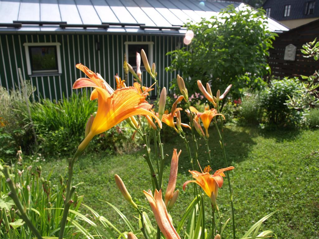 Guest House Luft Sneznik 外观 照片